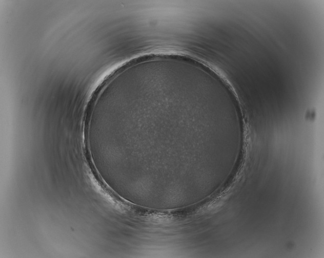 X0000111380935200907241306