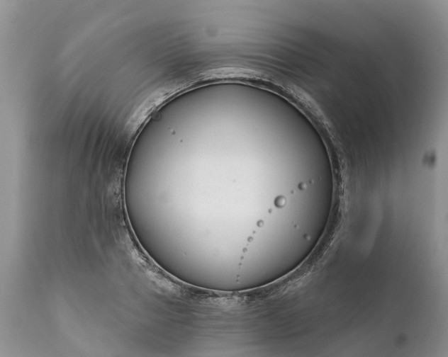 X0000111380937200907241306