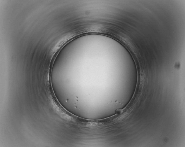 X0000111380938200907241306