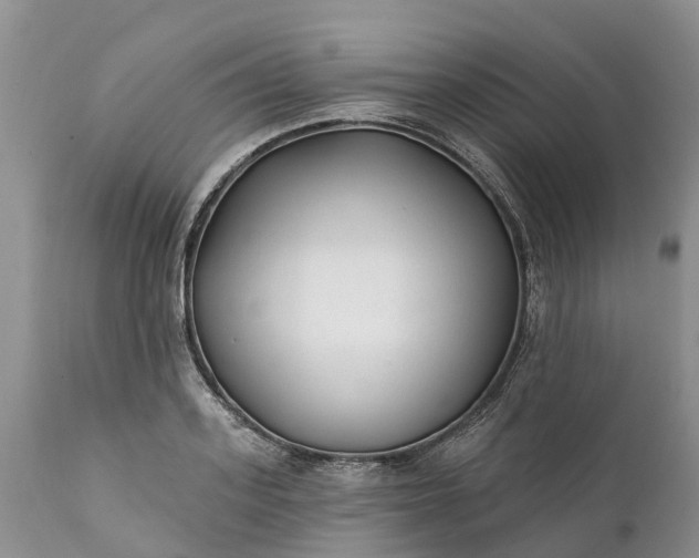 X0000111380939200907241306