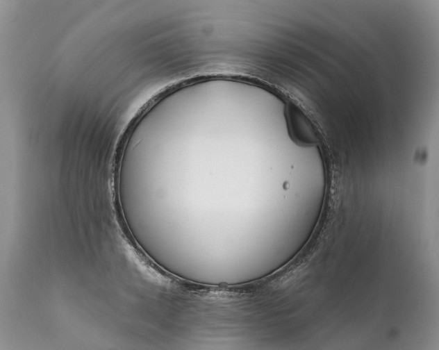 X0000111380942200907241306