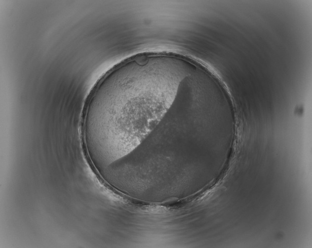 X0000111380943200907241306