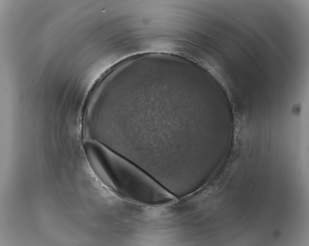 X0000111380944200907241306