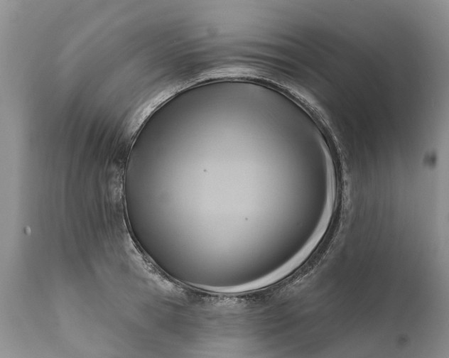 X0000111380945200907241306