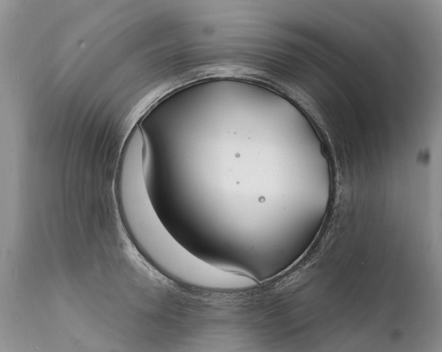 X0000111380946200907241306