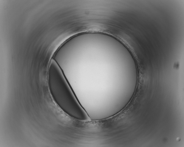 X0000111380948200907241306