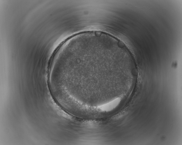 X0000111380950200907241306