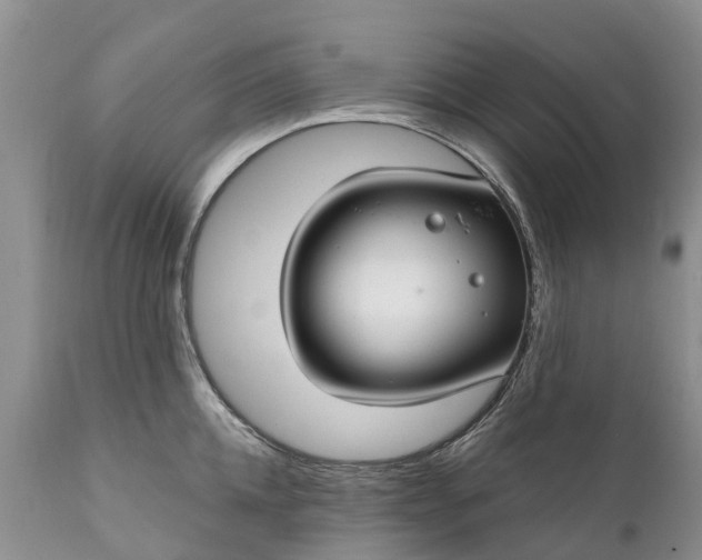 X0000111380952200907241306