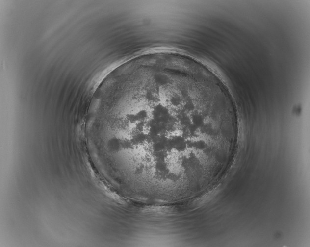 X0000111380953200907241306