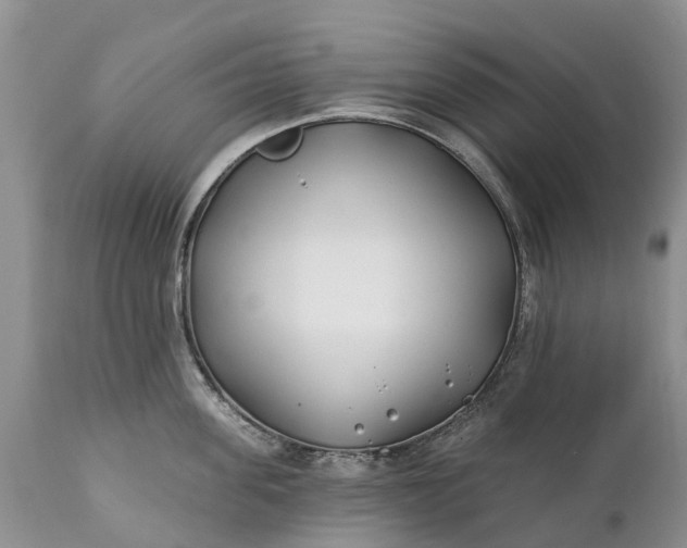 X0000111380955200907241306