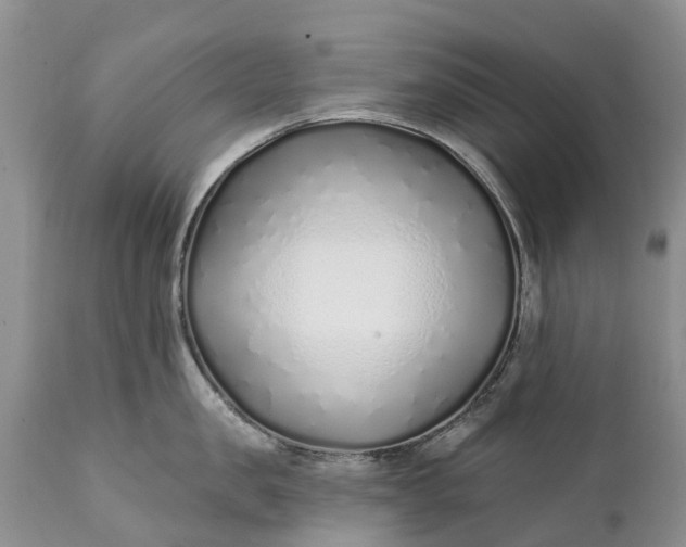 X0000111380957200907241306