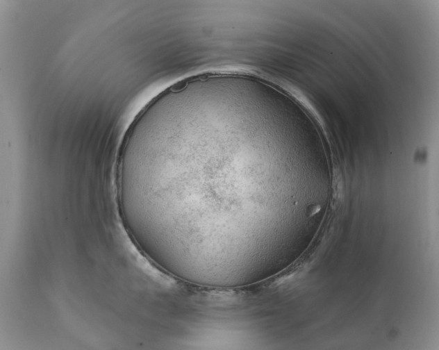 X0000111380959200907241306