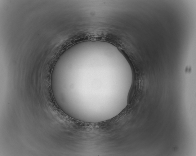 X0000111380961200907241306