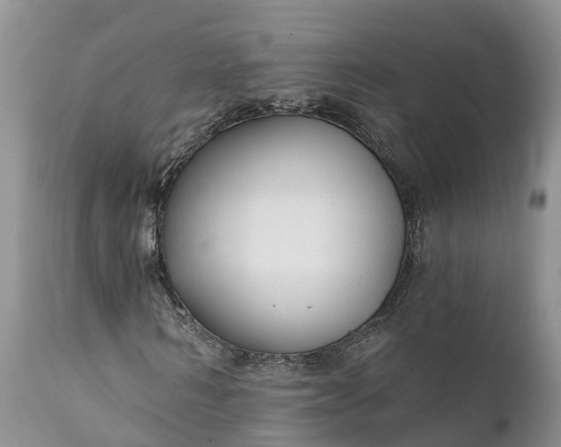 X0000111380962200907241306