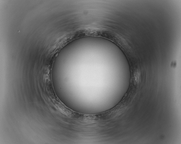 X0000111380964200907241306