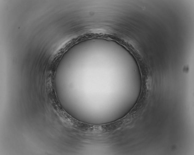 X0000111380968200907241306