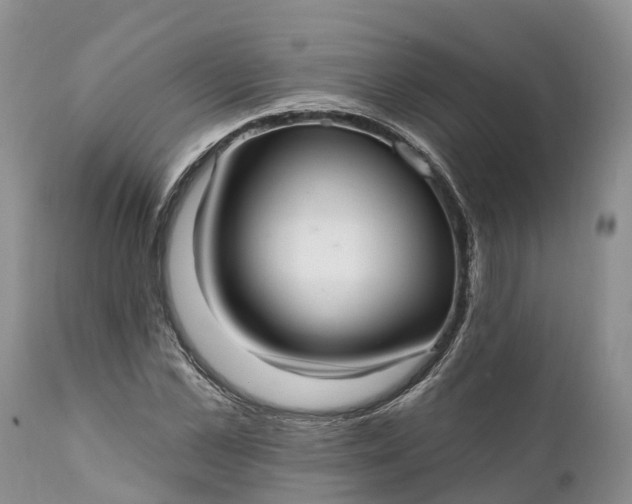 X0000111380973200907241306