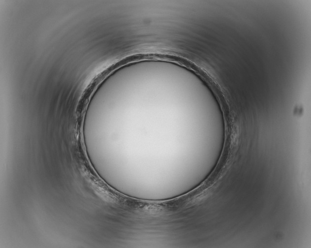 X0000111380974200907241306