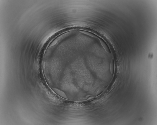 X0000111380975200907241306