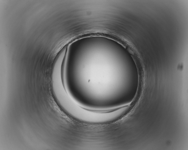 X0000111380977200907241306