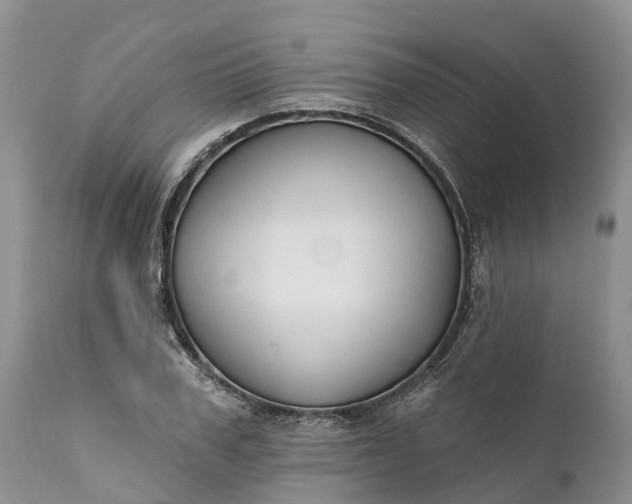 X0000111380979200907241306