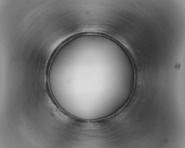 X0000111380980200907241306