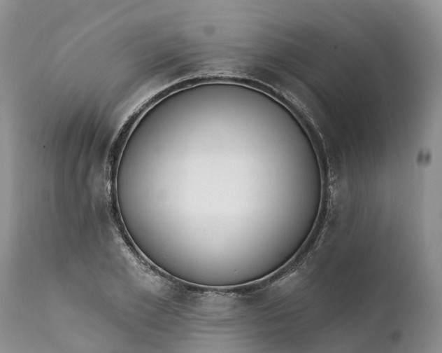 X0000111380981200907241306