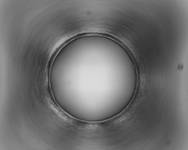 X0000111380982200907241305