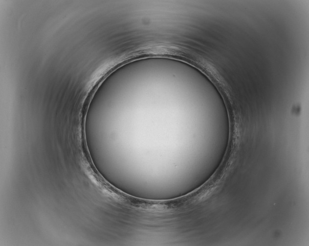 X0000111380986200907241305