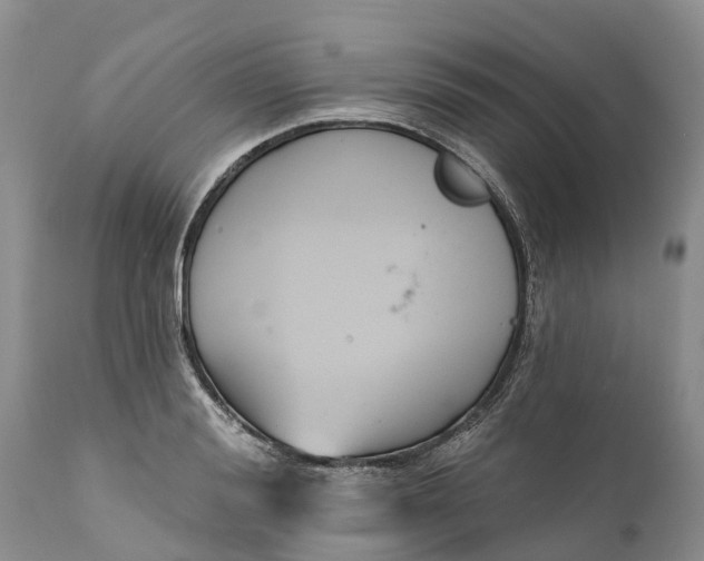 X0000111380988200907241305