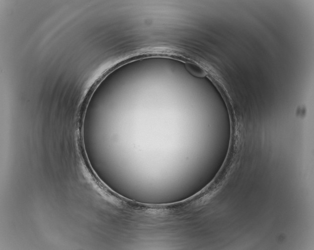 X0000111380989200907241305