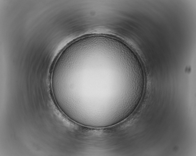 X0000111380990200907241305