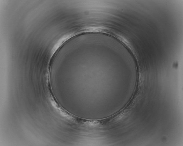 X0000111380994200907241305