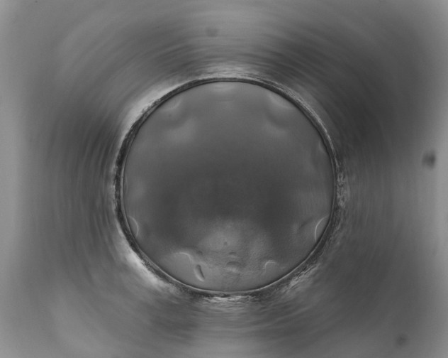 X0000111380995200907241305