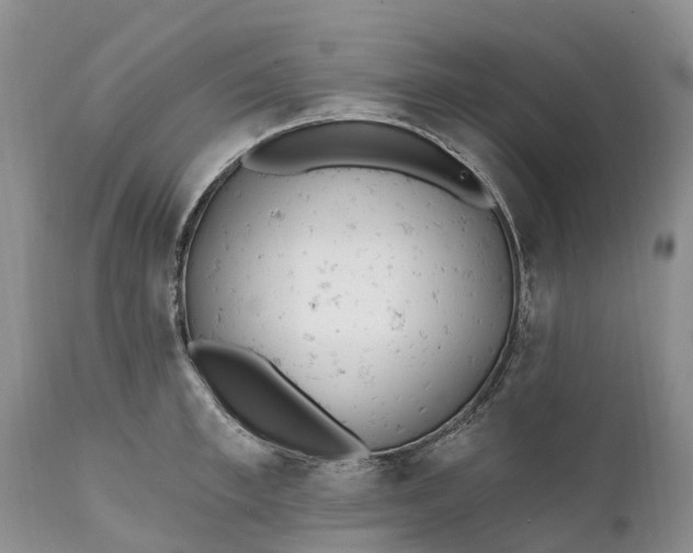 X0000111380997200907241305