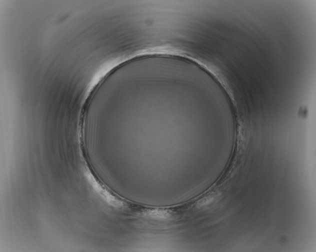 X0000111380998200907241305