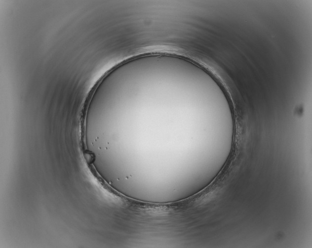 X0000111380999200907241305