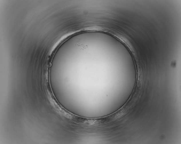 X0000111381000200907241305