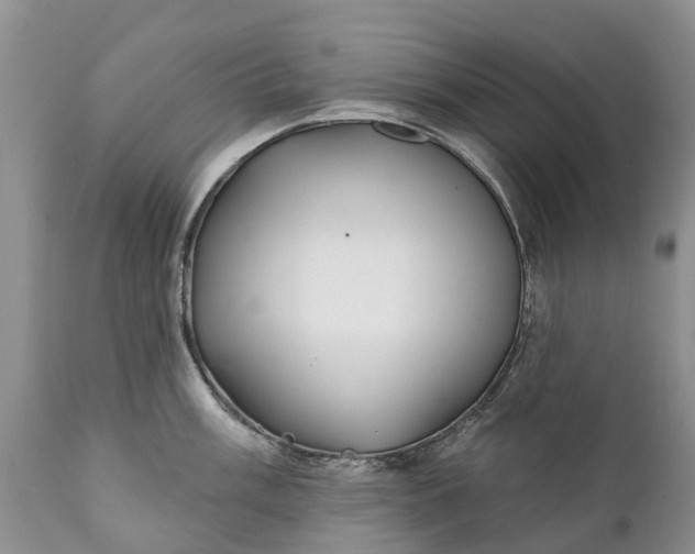 X0000111381003200907241305