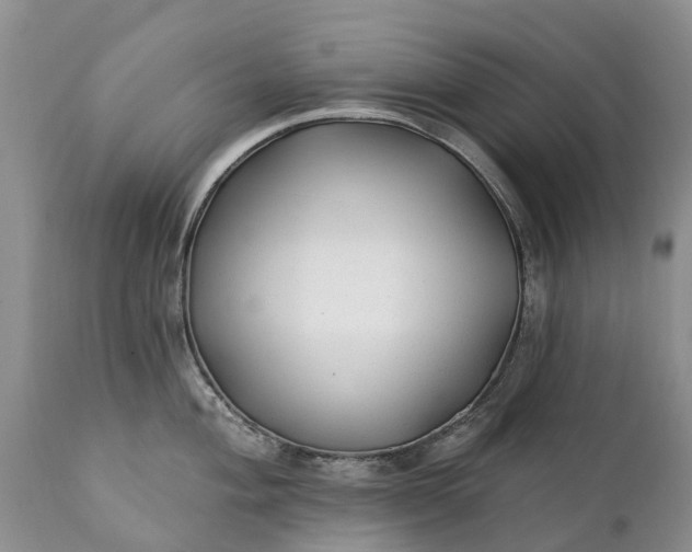 X0000111381004200907241305