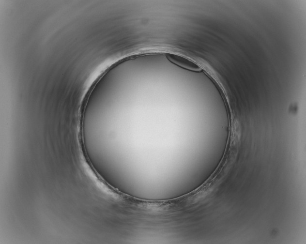 X0000111381005200907241305