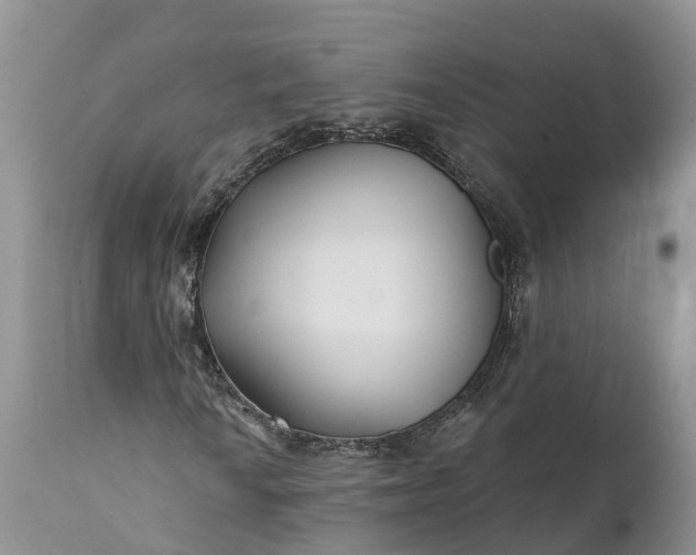 X0000111381010200907241304