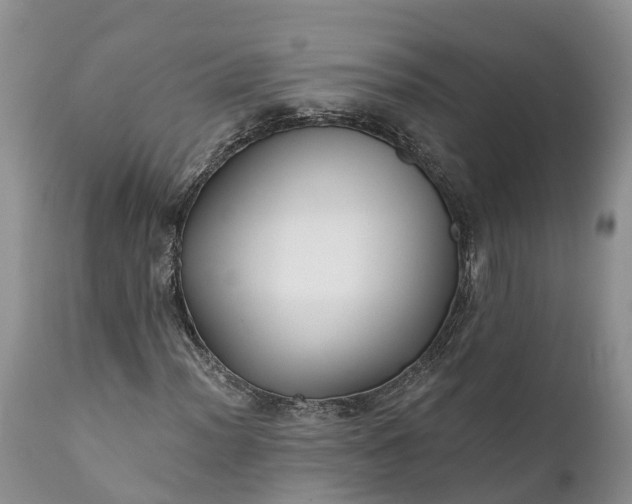 X0000111381012200907241305