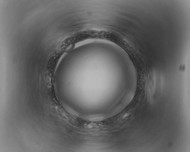 X0000111381013200907241305