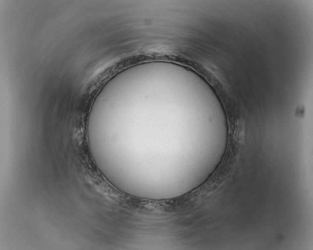 X0000111381015200907241305