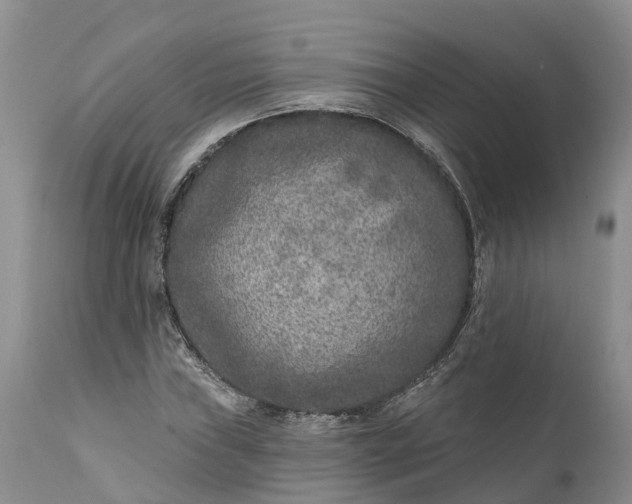 X0000111381019200907241305