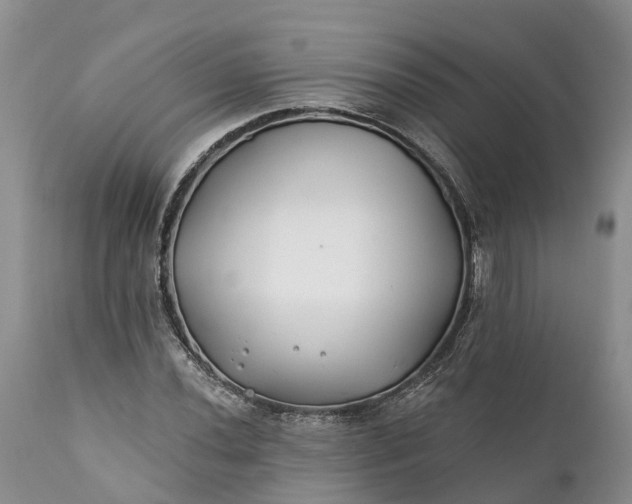 X0000111381020200907241305