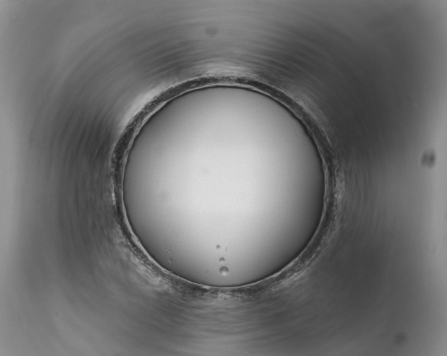 X0000111381022200907241305