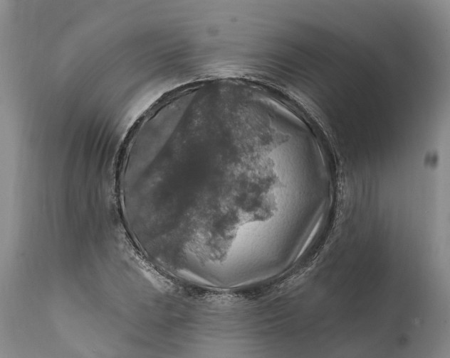 X0000111381023200907241305