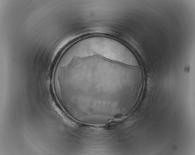 X0000111381024200907241305